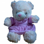 Play & Pets Teddy Bear with Dress